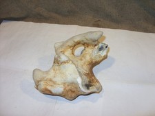 Flint hag stone - hag,