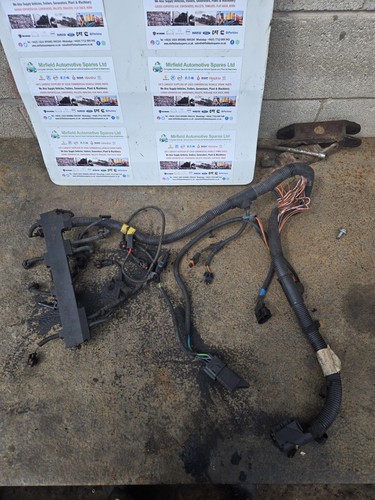 Daily engine wiring 504060231 - daily,