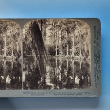 South ashley stereoview - sc,