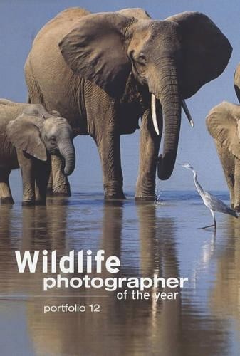 Wildlife photographer the - photographer, of