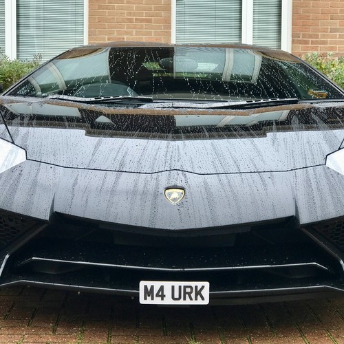Removable lamborghini - removable,