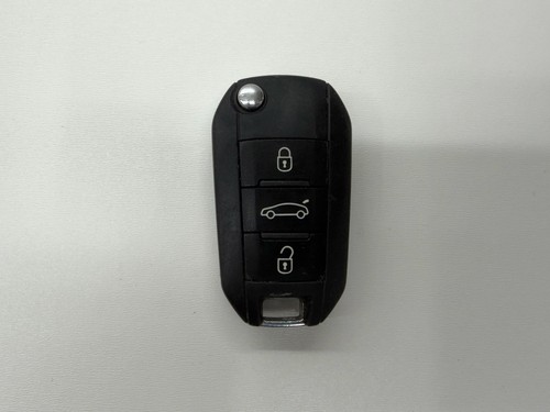 Citroen cactus key - cactus,