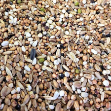 Pigeon conditioner trapping - conditioner, &