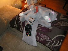 Secret Santa Novelty Cat