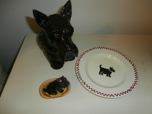 Scottish terrier royal - terrier,
