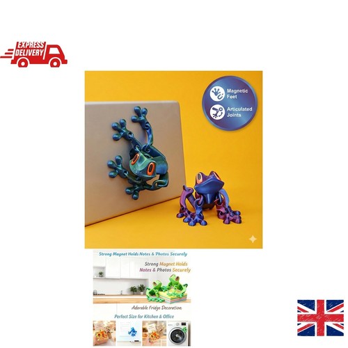 Printed frog toy magnetic - toy,
