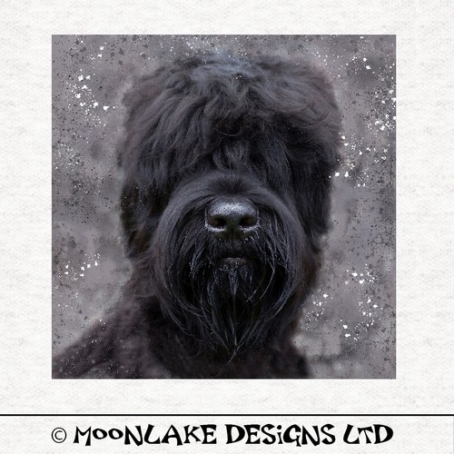 Dog russian black - dog,