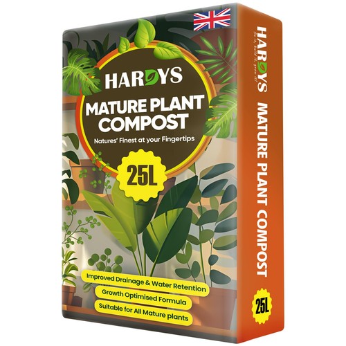 Garden indoor mature plant - garden,