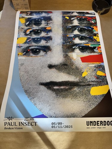 Paul insect pins art poster - paul,