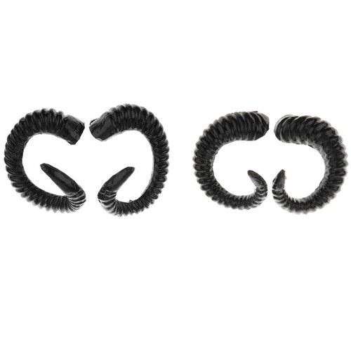 Pair sheep horns cos - sheep,