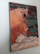 Country Artists 1992 Limited Edition signed Collectors Reference Book