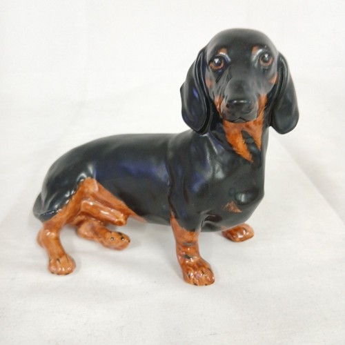 Coalport vintage dachshund - coalport,