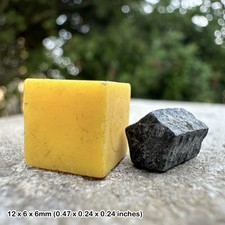 Jurassic Crinoid Star Stem Fossil – Lower Lias Seatown Dorset – Sea Lily Fossil