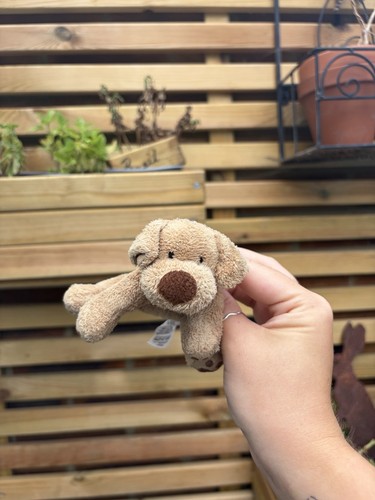 Marks spencer puppy - &, dog
