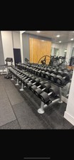 RACKS ONLY Hammer Strength Dumbbell Racks