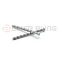 Honda VTR1000F 2002 stainless