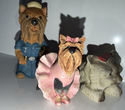 Yorkshire terrier dog - 3,