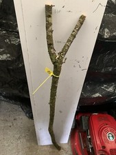 Blackthorn Thumb stick SHANK