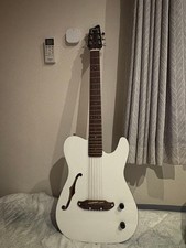 Schecter eco f-hole