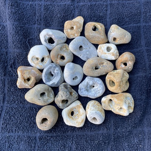 Twenty natural hag stones - twenty,