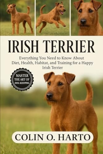 Irish terrier everything - irish,