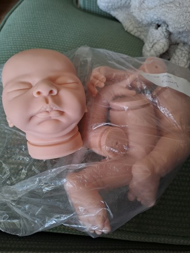 Reborn elisa marx - marx, enny