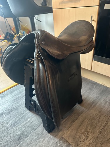 Original brown falcon - original,