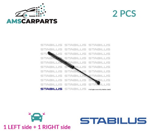 Tailgate boot struts set - struts,