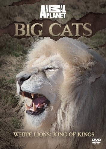 Discovery channel import - discovery,