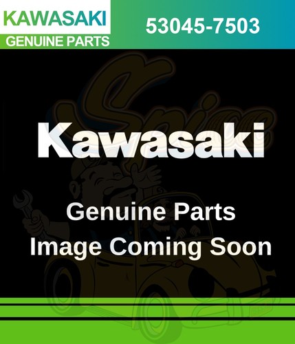 Kawasaki 2010 2016 - -, 2016　oem