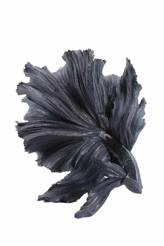 Large fin solid - large,