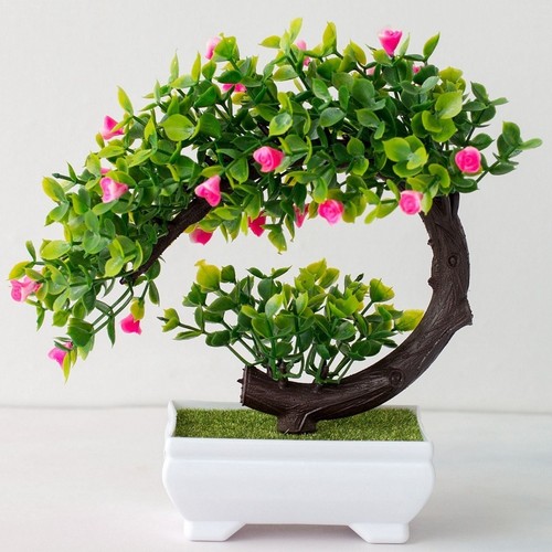 Fuchsia bonsai small tree pot - fuchsia,