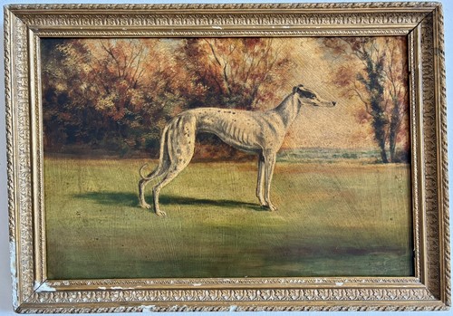 Vtg dog greyhound oil painting - dog,