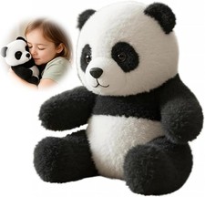 Panda Teddy, The Pandy -