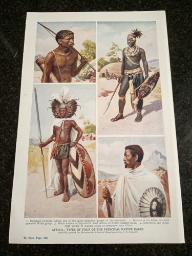 Africa bushman zulu masai - bushman,