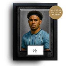 FRAMED MILAN VAN EWIJK SIGNED