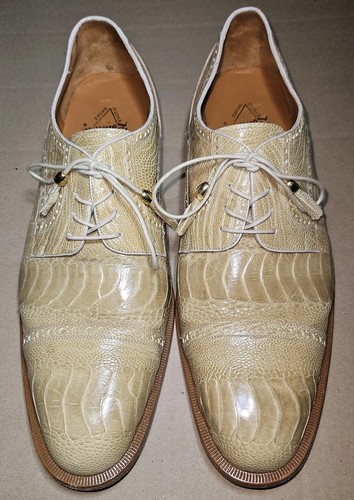 Romano crocodile ostrich - crocodile,