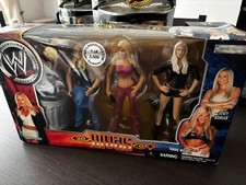RARE Jakks Pacific WWE Divas