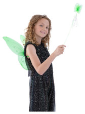 Childrens Fairy Wings + Wand