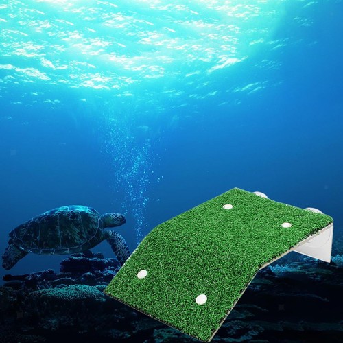 Turtle tank decorations - tank,