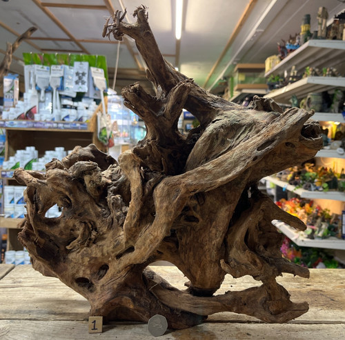 Large mangrove 76cm root - large,