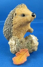 Sherratt & Simpson Hedgehog