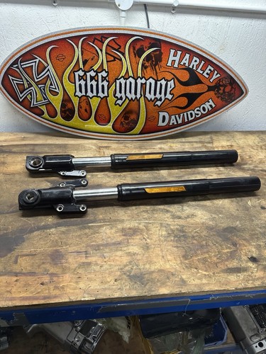 Harley davidson softail - harley,