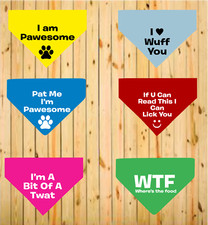 Humorous Funny Slogan Printed