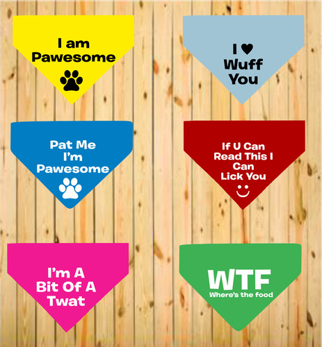 Humorous funny slogan - humorous, printed