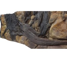 Aquarium background amazon - 3d,