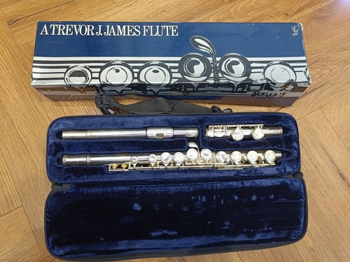 Trevor james flute tj10x - flute, (tj10x