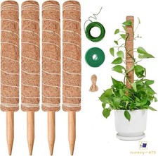 Moss Pole for Plants Monstera