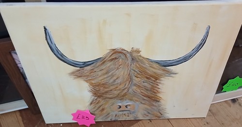 Stunning hand painted - painted, highland