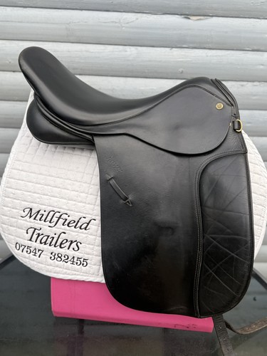 Black pessoa anky - pessoa, dressage